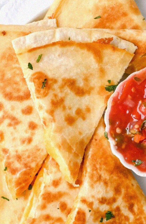 Delightful Quesadilla Close-up