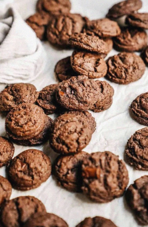 Double Chocolate Protein Cookies