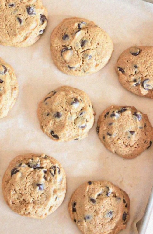 Choco-Chip Infusion: Chickpea Flour Cookies